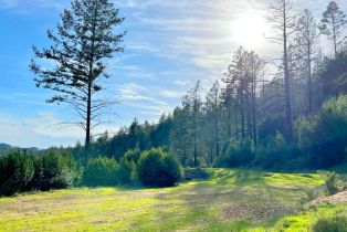 Residential Acreage, 2261 Mark West Springs road, Santa Rosa, CA 95404 - 8