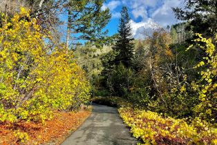 Residential Acreage, 2261 Mark West Springs road, Santa Rosa, CA 95404 - 3