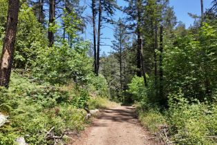 Residential Acreage, 2261 Mark West Springs road, Santa Rosa, CA 95404 - 22