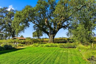 Single Family Residence,  Highway 128 none, Healdsburg, CA 95448 - 36