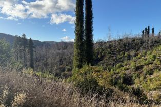 Single Family Residence, Mill Creek road, Healdsburg, CA 95448 - 38