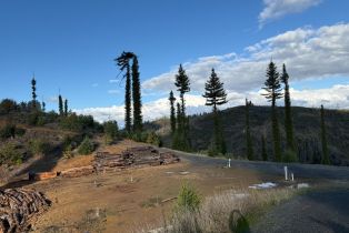 Single Family Residence, Mill Creek road, Healdsburg, CA 95448 - 35