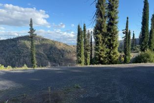 Single Family Residence, Mill Creek road, Healdsburg, CA 95448 - 45