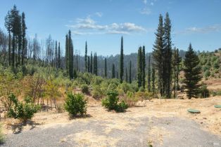 Single Family Residence, Mill Creek road, Healdsburg, CA 95448 - 22