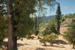 Single Family Residence, Mill Creek road, Healdsburg, CA 95448 - 24