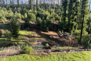 Single Family Residence, Mill Creek road, Healdsburg, CA 95448 - 39