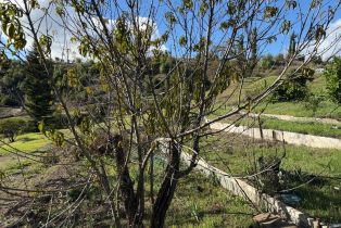 Single Family Residence, Mill Creek road, Healdsburg, CA 95448 - 56