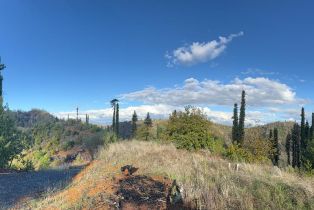 Single Family Residence, Mill Creek road, Healdsburg, CA 95448 - 40