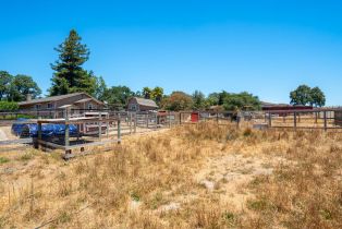 Single Family Residence,  Woodworth road, Sebastopol, CA 95472 - 50
