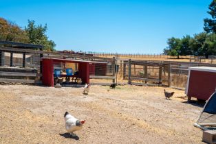 Single Family Residence,  Woodworth road, Sebastopol, CA 95472 - 49