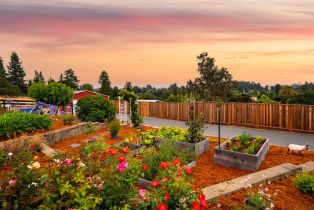 Single Family Residence,  Woodworth road, Sebastopol, CA 95472 - 7