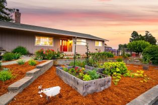 Single Family Residence,  Woodworth road, Sebastopol, CA 95472 - 2