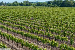 Residential Acreage,  Kinley drive, Healdsburg, CA 95448 - 5