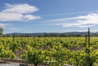 Residential Acreage,  Kinley drive, Healdsburg, CA 95448 - 4
