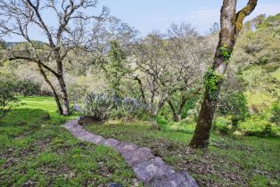 Single Family Residence,  Dance drive, Sonoma, CA 95476 - 58