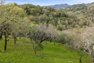 Single Family Residence,  Dance drive, Sonoma, CA 95476 - 60