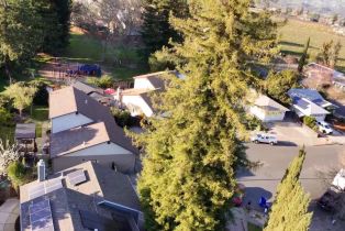 Single Family Residence,  Dove court, Napa, CA 94558 - 45