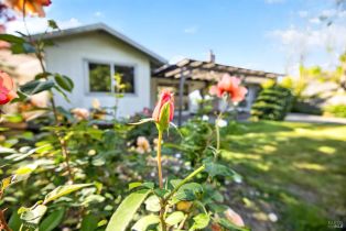 Single Family Residence,  Lurline way, Santa Rosa, CA 95405 - 33