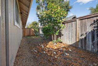 Halfplex,  Spring lane, Sonoma, CA 95476 - 22