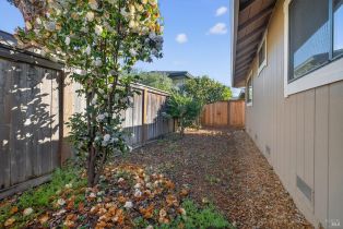 Halfplex,  Spring lane, Sonoma, CA 95476 - 24