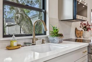 Single Family Residence,  Calle Del Monte none, Sonoma, CA 95476 - 35