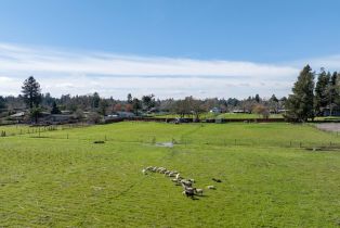Residential Acreage,  Cooper road, Sebastopol, CA 95472 - 6