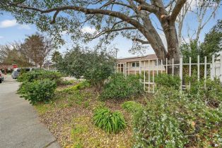 Single Family Residence,  Kathleen drive, Napa, CA 94558 - 37
