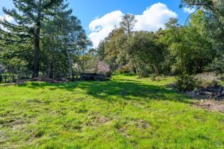 Residential Lot,  Sexton road, Sebastopol, CA 95472 - 6