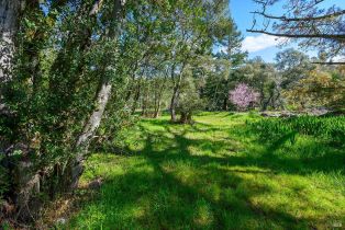 Residential Lot,  Sexton road, Sebastopol, CA 95472 - 11