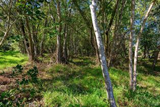 Residential Lot,  Sexton road, Sebastopol, CA 95472 - 12