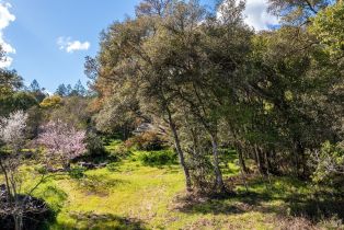 Residential Lot,  Sexton road, Sebastopol, CA 95472 - 9