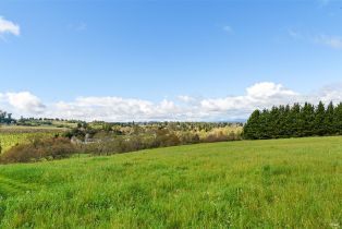 Single Family Residence,  Blackney road, Sebastopol, CA 95472 - 8