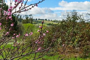 Single Family Residence,  Blackney road, Sebastopol, CA 95472 - 33