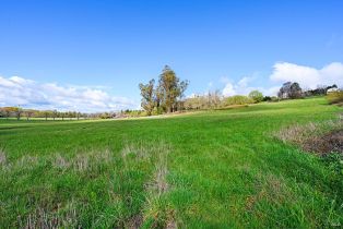 Single Family Residence,  Blackney road, Sebastopol, CA 95472 - 6