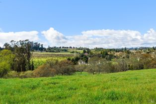 Single Family Residence,  Blackney road, Sebastopol, CA 95472 - 7