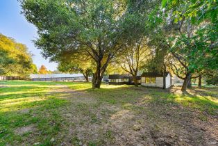 Single Family Residence,  First street, Sebastopol, CA 95472 - 49
