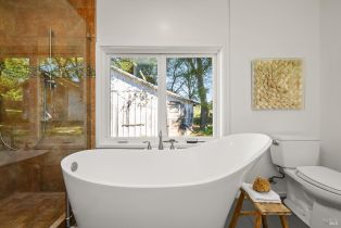 Single Family Residence,  First street, Sebastopol, CA 95472 - 33