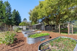 Single Family Residence,  First street, Sebastopol, CA 95472 - 50