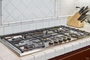 Single Family Residence, Princeville court, Petaluma, CA 94954 - 16