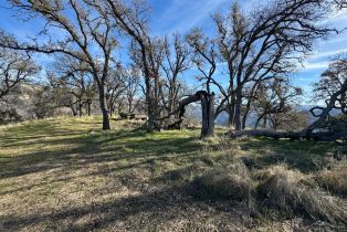 Agriculture,  State 128 highway, Napa, CA 94558 - 11