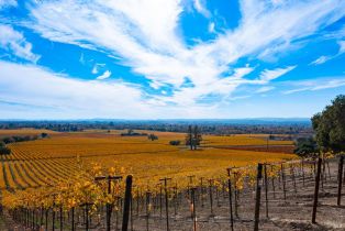 Residential Lot,  Jensen lane, Windsor, CA 95492 - 33