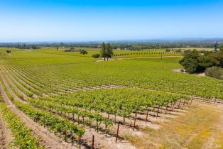 Residential Lot,  Jensen lane, Windsor, CA 95492 - 24