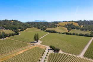 Residential Lot,  Jensen lane, Windsor, CA 95492 - 27