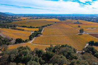 Residential Lot,  Jensen lane, Windsor, CA 95492 - 31