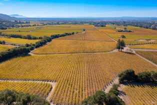 Residential Lot,  Jensen lane, Windsor, CA 95492 - 16