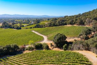 Residential Lot,  Jensen lane, Windsor, CA 95492 - 21