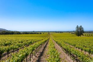 Residential Lot,  Jensen lane, Windsor, CA 95492 - 25