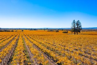 Residential Lot,  Jensen lane, Windsor, CA 95492 - 34