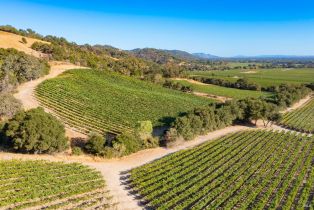 Residential Lot,  Jensen lane, Windsor, CA 95492 - 24