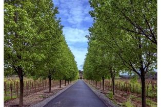 Residential Lot,  Jensen lane, Windsor, CA 95492 - 11